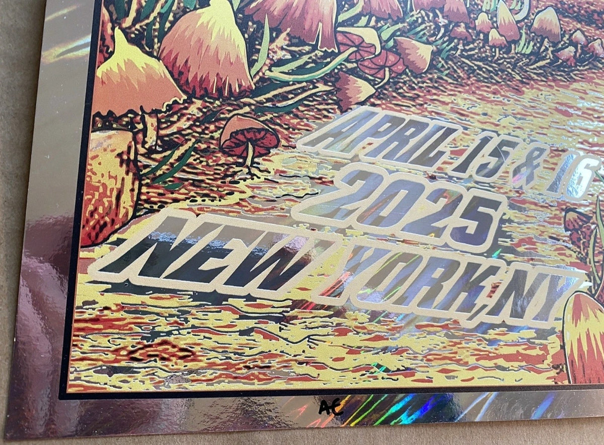 The Brothers Event FOIL Poster 4/15 & 4/16 2025 Madison Square Garden IN HAND