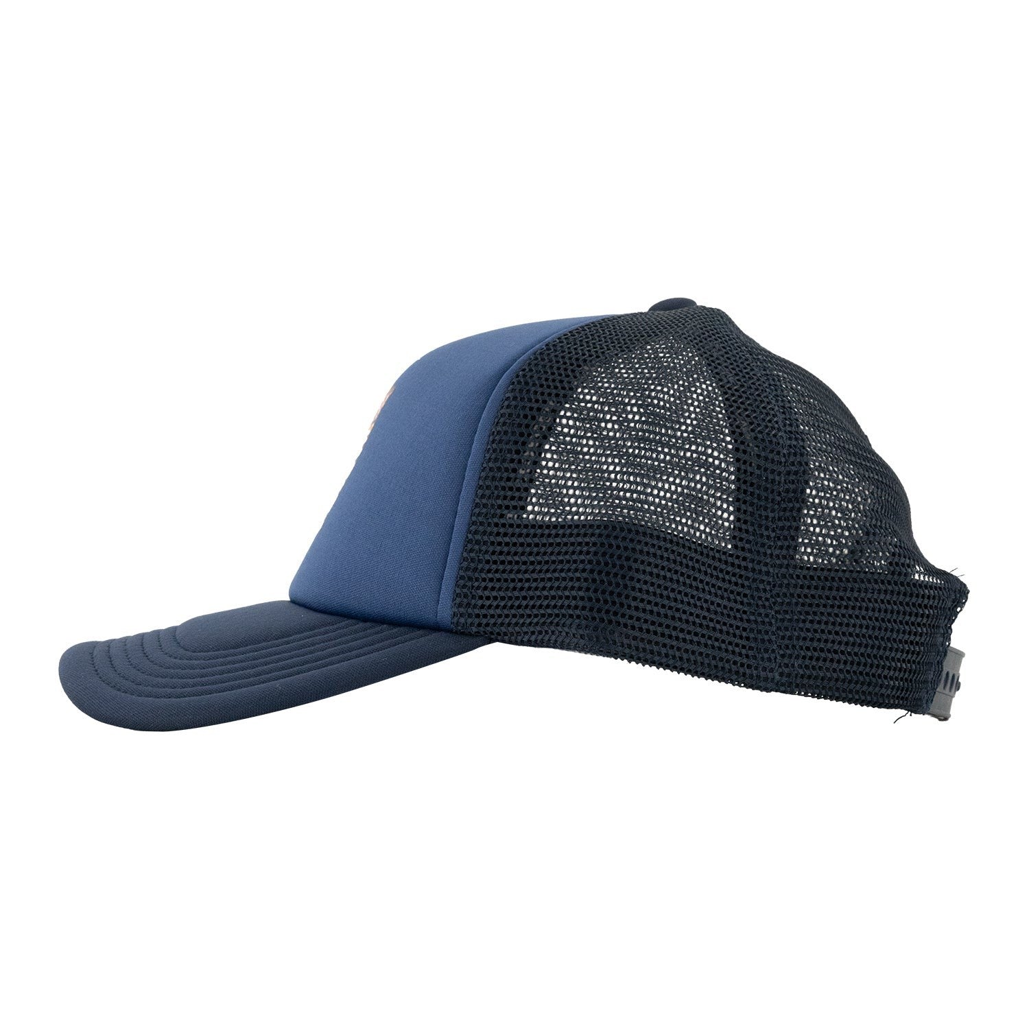 Phish Hat MONDEGREEN 2024 Official Dry Goods Blue Snapback Trucker Hat Dover DE