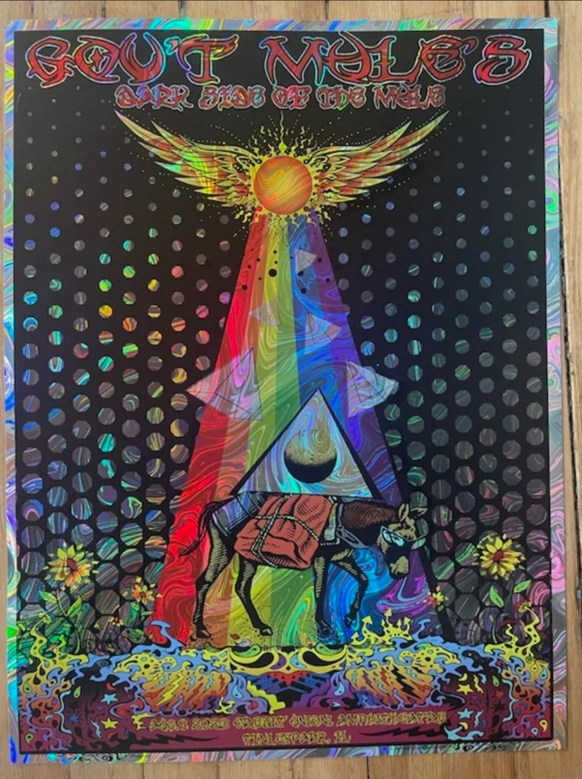 Gov't Mule -Dark Side of Mule Foil Poster -Tinley Park IL 2023 - Signed M Dubois