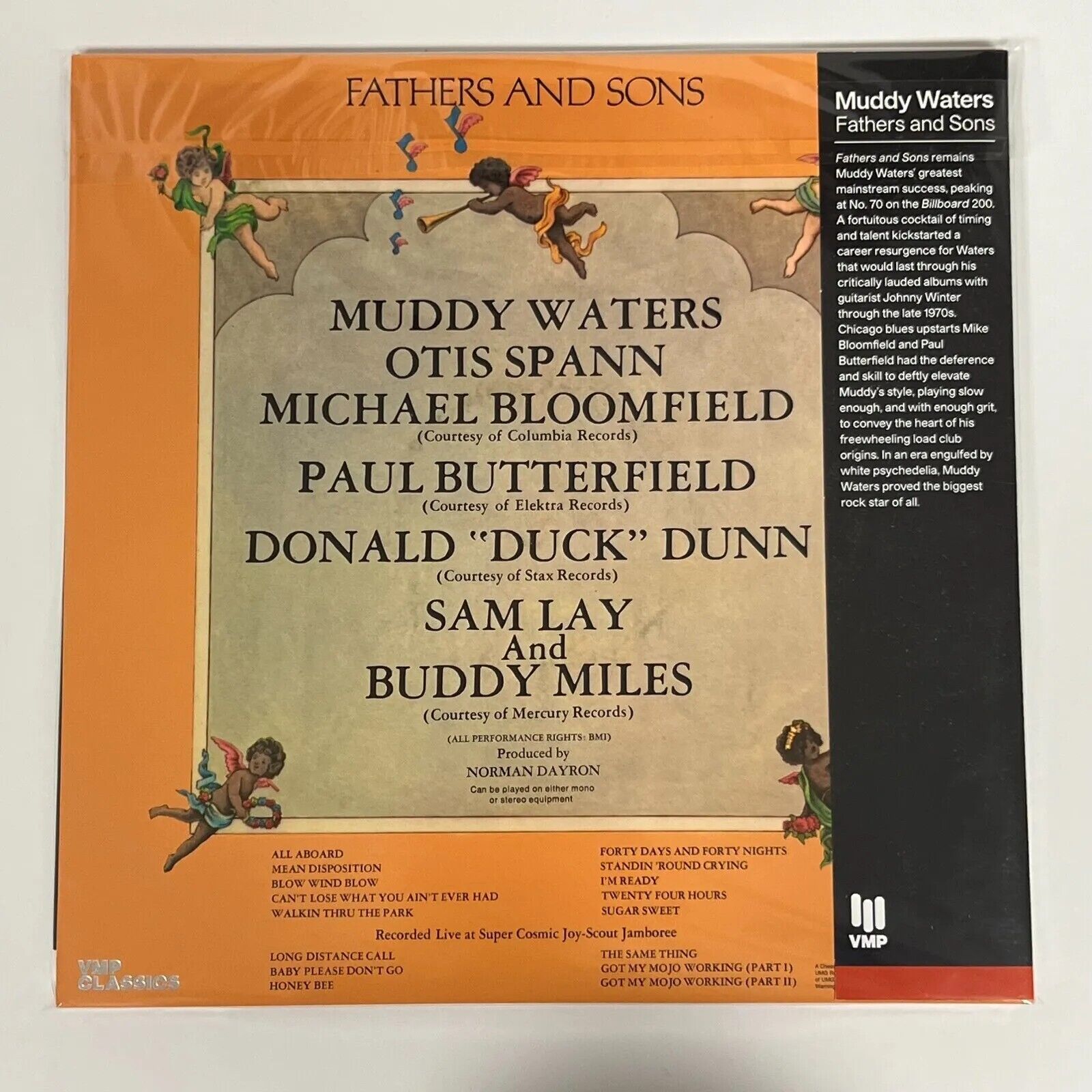 MUDDY WATERS Fathers and Sons 180g 2 LP VMP VinylMePlease C019 AUDIOPHILE PRESS