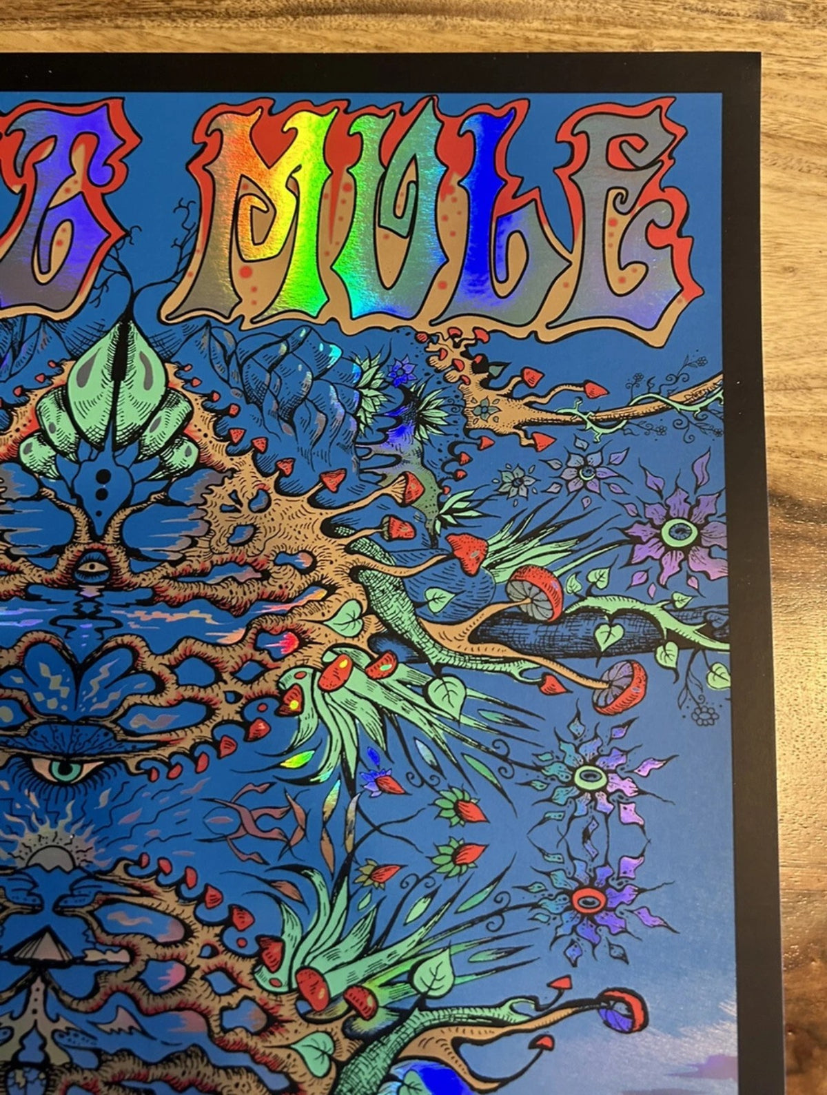 GOV'T MULE AUGUST 18 2019 Red Rocks Rainbow Foil Variant Poster SIGNED AE NEW