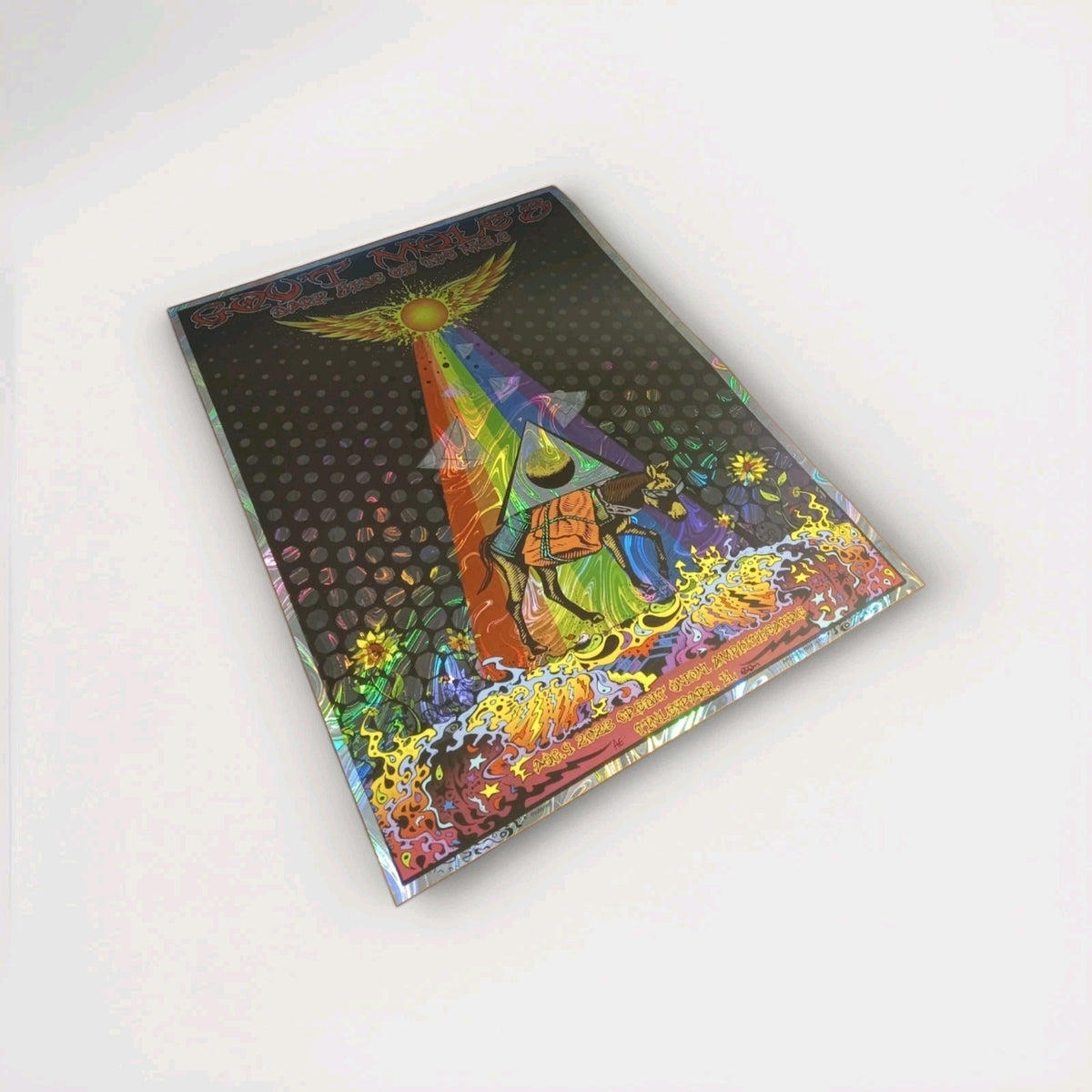 Gov't Mule -Dark Side of Mule Foil Poster -Tinley Park IL 2023 - Signed M Dubois