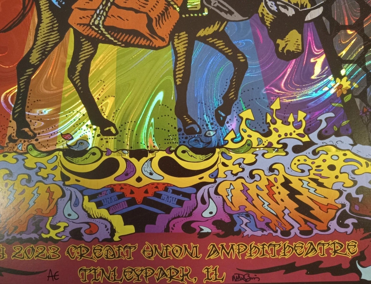 Gov't Mule -Dark Side of Mule Foil Poster -Tinley Park IL 2023 - Signed M Dubois