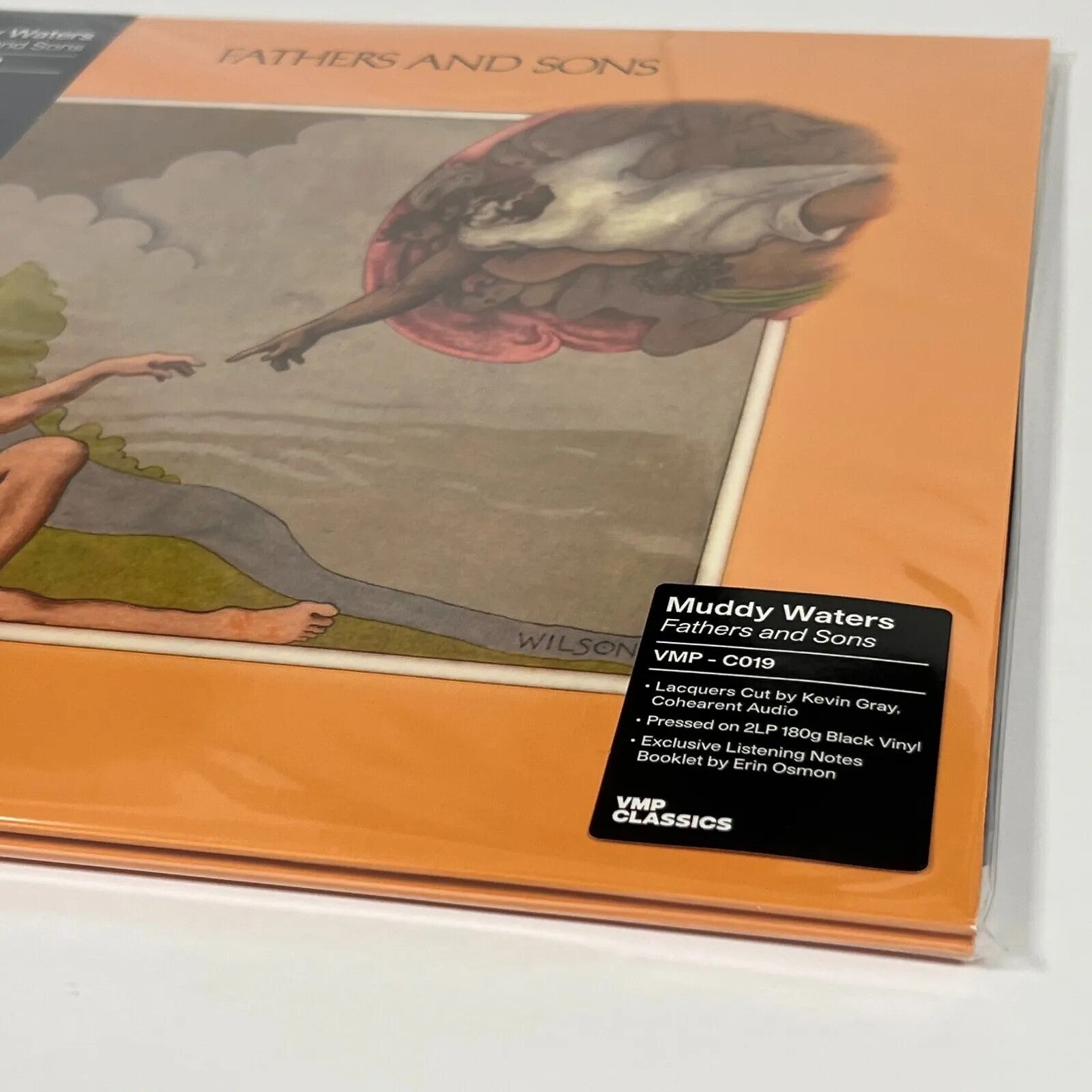 MUDDY WATERS Fathers and Sons 180g 2 LP VMP VinylMePlease C019 AUDIOPHILE PRESS