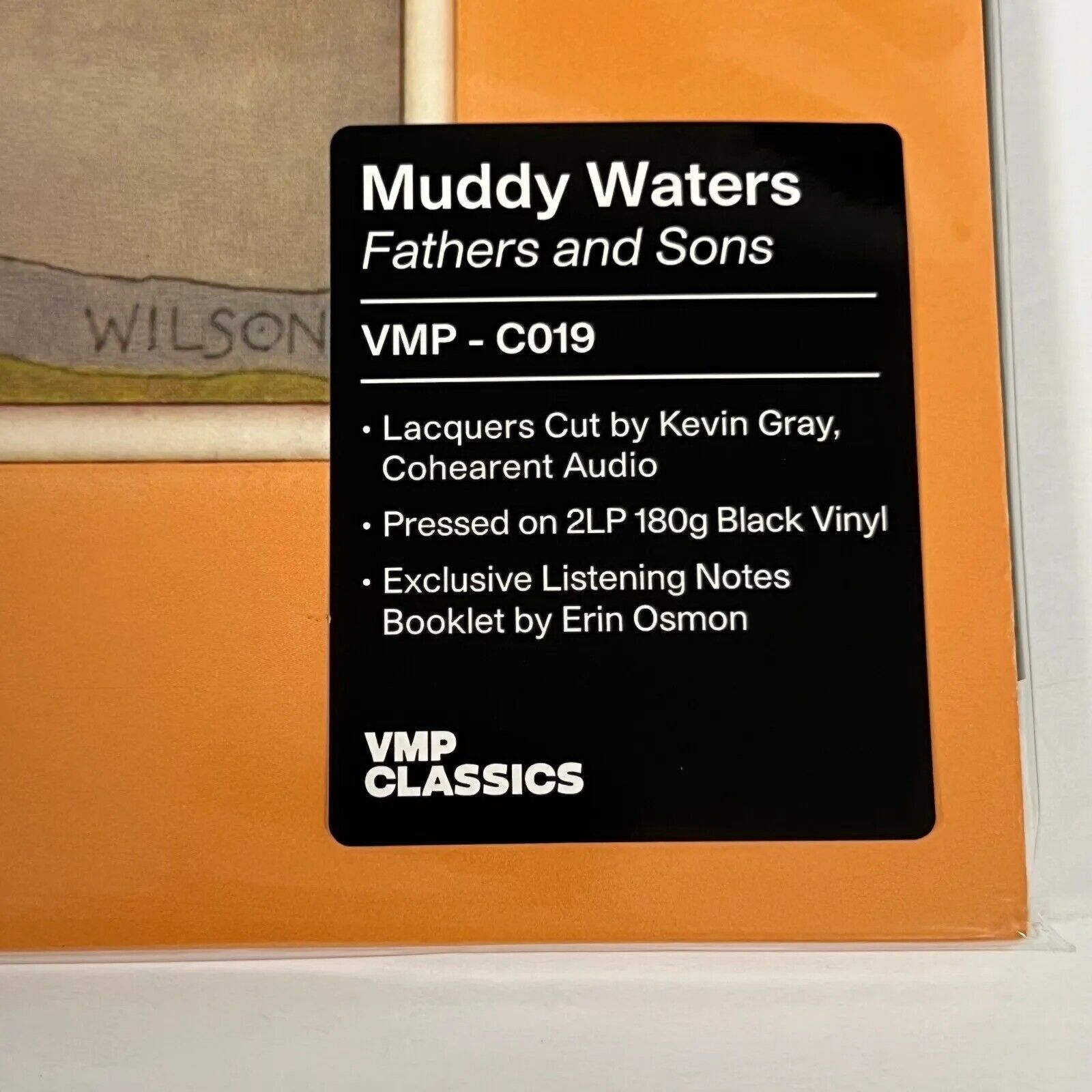 MUDDY WATERS Fathers and Sons 180g 2 LP VMP VinylMePlease C019 AUDIOPHILE PRESS