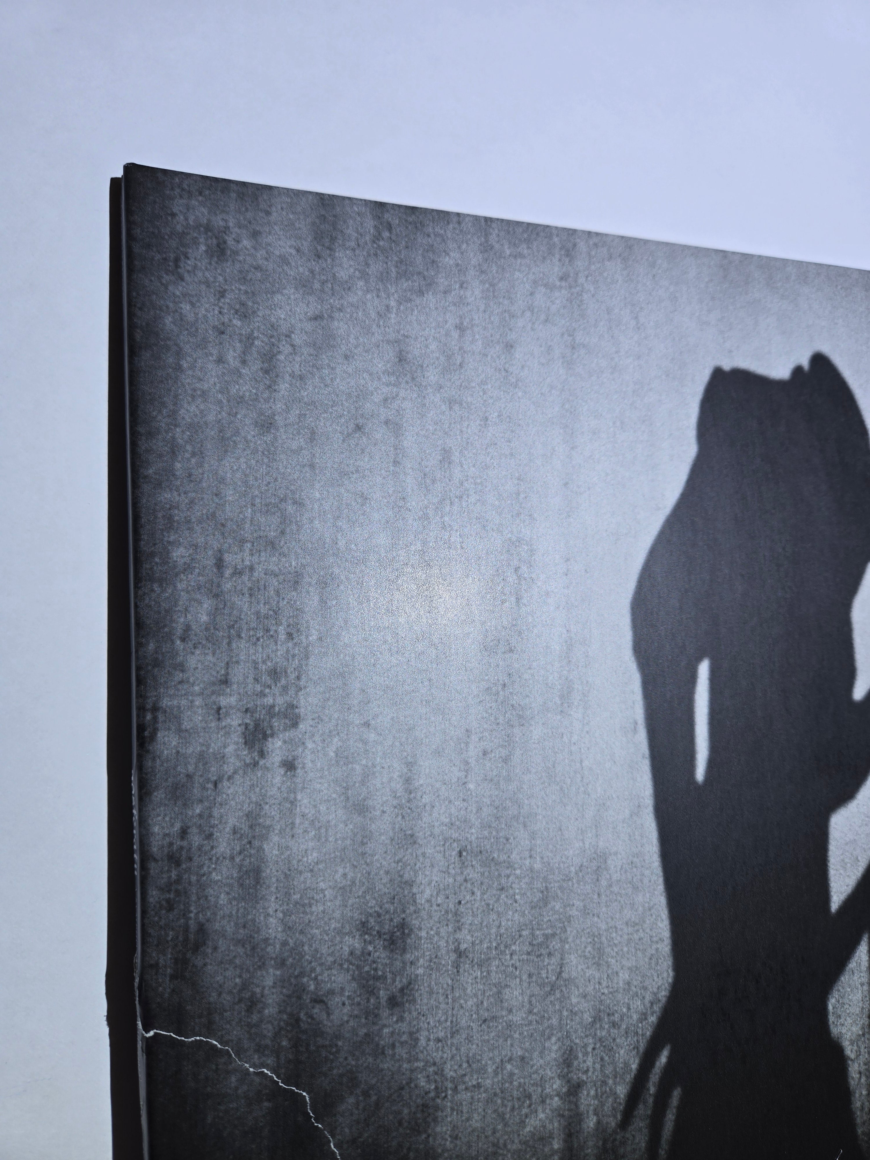Nosferatu (1922 Soundtrack) [Vinyl LP] Gatefold LP Jacket, Red VG James Bernard Score